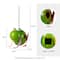 Glitzhome® 9" Metal Glossy Frog Outdoor Garden Birdhouse